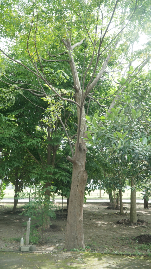 DSC00160